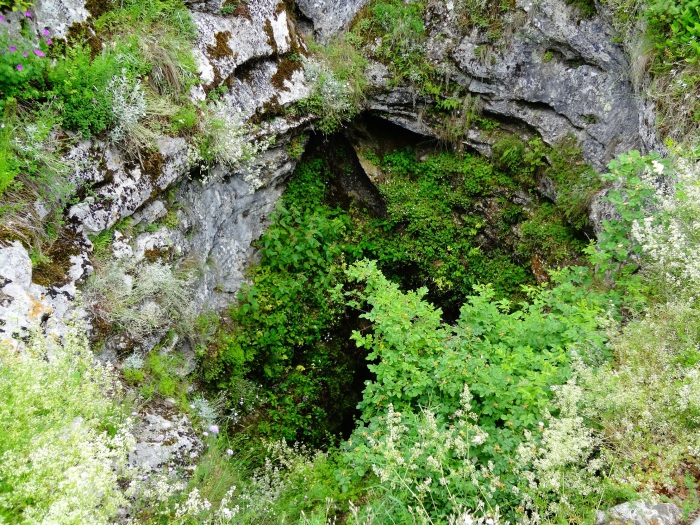 Vortex on the side of the mountain near an oak tree.